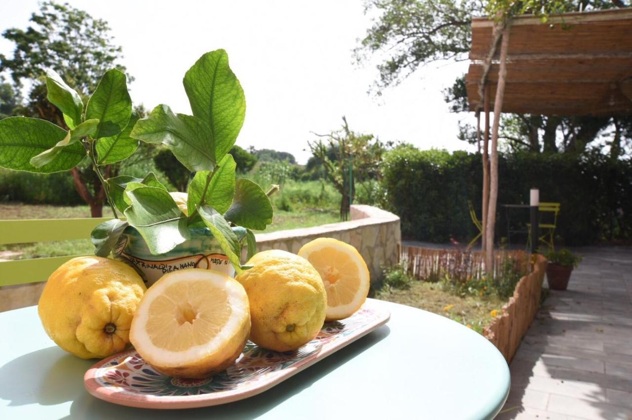 Bed & Breakfast Sonnino Procida